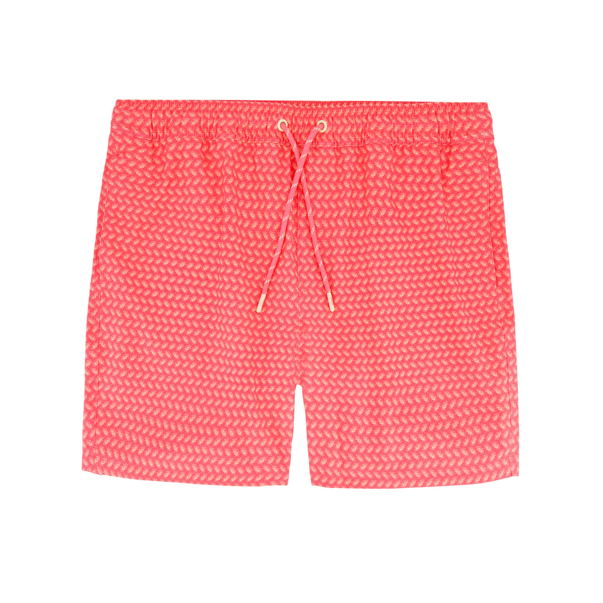 Izod Sltwr Trunk Prt 17 - Dubarry